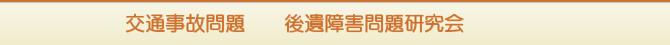 交通事故問題 後遺障害問題研究会 交通事故問題 後遺障害問題研究会
